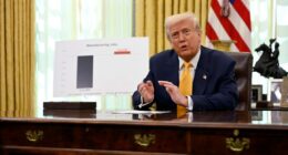 Trump says courts cannot review his global tariffs