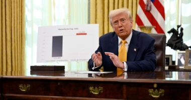 Trump says courts cannot review his global tariffs