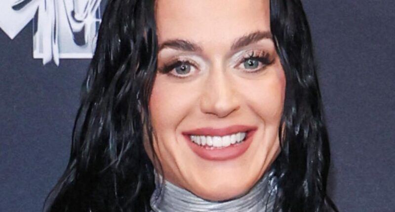 Wendy's Fails To Apologize To Katy Perry After Taking Jabs At Her Over Blue Origin Space Flight