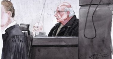 'I didn't see them as people': Ex-surgeon jailed for raping 299 kids