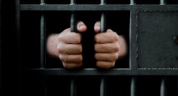 'Stop letting criminals choose their own gender', UN warns after UK police forces allow 49 rapists to identify as female offenders