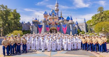 100 U.S. Navy Sailors and Marines given surprise day at Disneyland ahead of Memorial Day