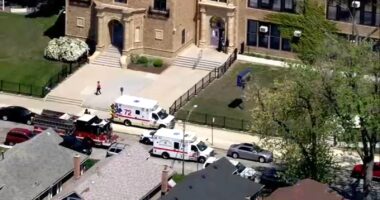 11 Fort Dearborn Elementary School students taken to hospitals after possibly eating laced cookies in Brainerd: sources, parents
