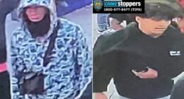 11 alleged teen Tren de Aragua gang members attack NYPD officers: police