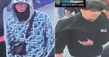 11 alleged teen Tren de Aragua gang members attack NYPD officers: police