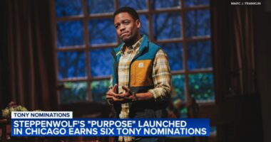 2025 Tony Award nominations include 3 shows first launched in Chicago, like Steppenwolf Theatre drama 'Purpose'