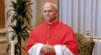 2025: Who is the new pope? Cardinal Robert Francis Prevost, 1st American from Chicago, elected as Catholic Church leader