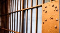 31-year-old woman faces charges related to porch piracy allegations, Boulder County Sheriff's Office says