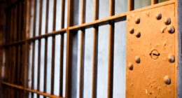 31-year-old woman faces charges related to porch piracy allegations, Boulder County Sheriff's Office says