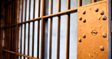 31-year-old woman faces charges related to porch piracy allegations, Boulder County Sheriff's Office says