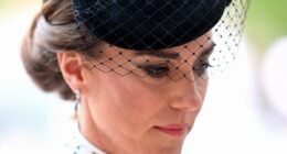 A soft smile and a poignant tribute to her mother-in-law, days after Harry's bombshell interview, Kate is a picture of elegance for VE Day