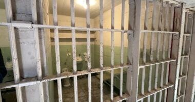Alcatraz: Tourists, politicians and a former inmate sound off on President Trump's proposal to reopen tourist spot as a prison