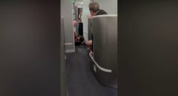 American Airlines passenger restrained, knocked to floor while barging into cockpit: video