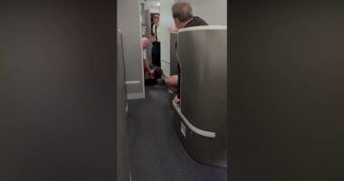 American Airlines passenger restrained, knocked to floor while barging into cockpit: video