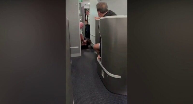American Airlines passenger restrained, knocked to floor while barging into cockpit: video