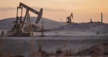 America's energy revolution goes from boom to bust after Trump's tariffs and sneaky move by Saudi Arabia