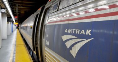 Amtrak bilked out of $12M by at least 119 employees, doctors in fraud scheme; many still on the job: report