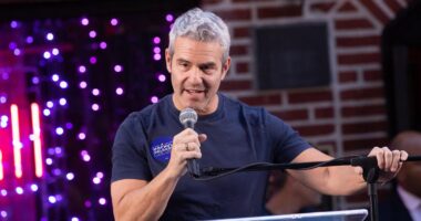 Andy Cohen Compares New Rhode Island Housewives To 'RHONJ' After Revealing They're 'Very Italian'