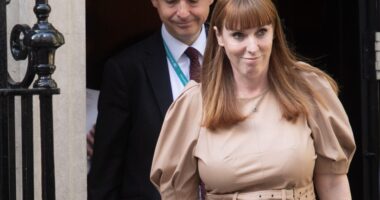 Angela Rayner BACKED welfare cuts in private Cabinet meetings despite leftie leaked memo