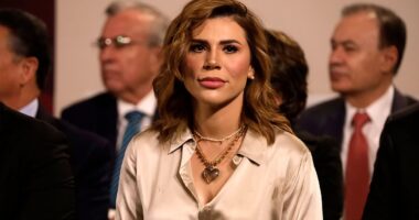 Another politician stunned to discover Trump has REVOKED visas for her and her husband
