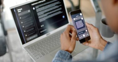 Anthropic CEO warns artificial intelligence will eliminate jobs. What can you do to protect your career?
