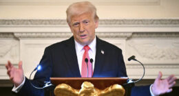 Appeals court won't let Trump resume AEA deportations