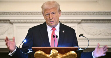 Appeals court won't let Trump resume AEA deportations