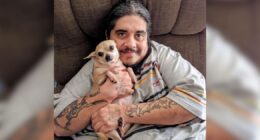 Arvada police arrest driver who allegedly struck, killed man in wheelchair