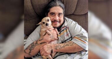 Arvada police arrest driver who allegedly struck, killed man in wheelchair