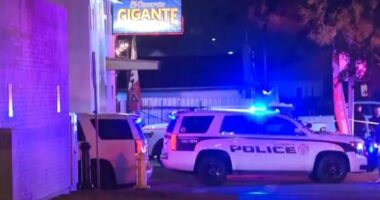 At least 9 injured in shooting at Arizona steakhouse as cops hunt for multiple shooters