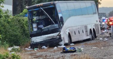 At least one dead and 32 injured after tour bus collides with car that burst into flames in horror Mother’s Day crash