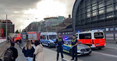 At least twelve people injured after horror knife attack at German train station before woman is arrested