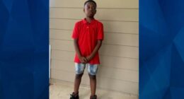 BOLO: Police Seek Tips on Missing Georgia Boy, 12