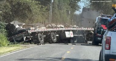 Bee crash: Truck carrying 250 million honeybees overturns in Washington state near Canadian border, sheriff says