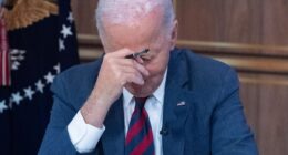 Biden was ‘disoriented & out of it’ during cabinet talks and was ‘shielded in every meeting’ in final year