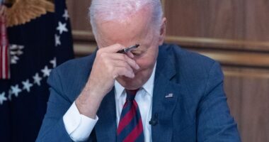Biden was ‘disoriented & out of it’ during cabinet talks and was ‘shielded in every meeting’ in final year