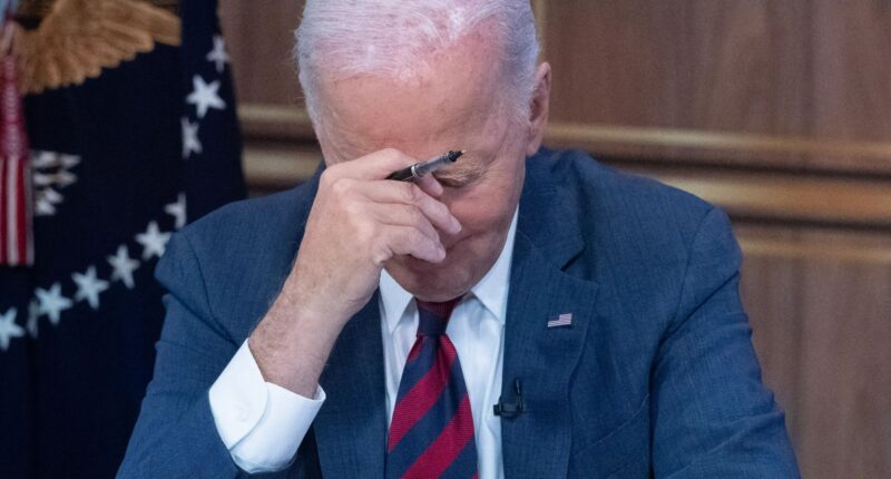 Biden was ‘disoriented & out of it’ during cabinet talks and was ‘shielded in every meeting’ in final year