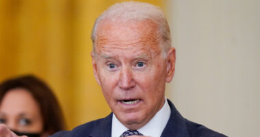 Biden ‘couldn’t recognize A-list actor standing right in front of him & aide forced to intervene’ in ‘startling’ moment