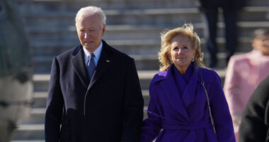 Bidens turn on CNN and try to brush off new book as ‘political fairy smut’ after ‘declining health and coverup’ exposed
