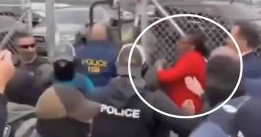 Border bosses release shock update after mass brawl at ICE hub... as new video emerges