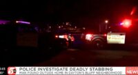 Boy, 14, describes stabbing man to death in journal: Cops