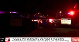 Boy, 14, describes stabbing man to death in journal: Cops