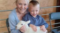 Boy, four, raced to hospital after getting 'nightmare' symptoms on holiday - as 73 others also fall ill following petting farm trip