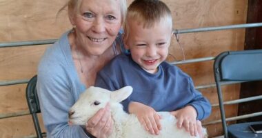 Boy, four, raced to hospital after getting 'nightmare' symptoms on holiday - as 73 others also fall ill following petting farm trip