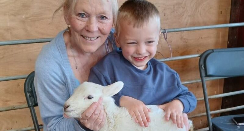 Boy, four, raced to hospital after getting 'nightmare' symptoms on holiday - as 73 others also fall ill following petting farm trip