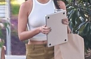 Brad Pitt is 'back in the arms' of his lady love Ines de Ramon. She is seen in LA on Thursday