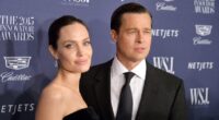 Brad Pitt and Angelina Jolie’s Ups and Downs Through the Years