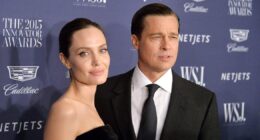 Brad Pitt and Angelina Jolie’s Ups and Downs Through the Years