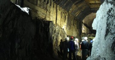 Breakthrough for Nazi gold train treasure hunters as mystery letter 'reveals location of secret tunnel hiding three carriages packed with precious metals' in Poland