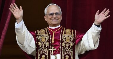 British cardinal reveals Pope Leo's reaction upon being elected and suggests he 'won't be afraid of tyrants' after notoriously secretive papal conclave